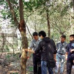 樹形整體飽滿度、分枝錯落的方向，360°觀看下是否皆能達成美的平衡等皆是新業(yè)選樹的考量。