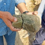 選擇表面上有些許青苔的「苔石」，作為溪流瀑布區(qū)的砌石。將天造之物與『大塊森鄰』的日常景色融合為一。