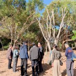 親自確認(rèn)並檢查樹(shù)種的生長(zhǎng)狀況，看葉片茂盛程度與樹(shù)形，彷彿能預(yù)見(jiàn)社區(qū)未來(lái)的質(zhì)感一景。
