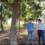 新業(yè)建設 簡福榮 總經(jīng)理(右一) 與景觀設計團隊逐步討論，樹種與樹高，為建築尋找契合的對象。