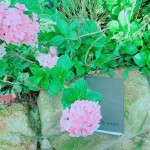 枕在石上的手札本，藏在詩中的少女情懷正等著誰翻閱？