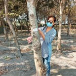 選定每棵樹木後，新業(yè)團隊會以紅色緞帶繫上樹幹紀錄，宛如為櫸木與『築之細道』之間密不可分的「紅線」。