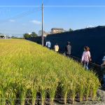 有用心栽培的樹種，新業(yè)便踏著腳步前往尋蹤，期望樹木與建築能自然地融合，
模糊與天地大美的界線。