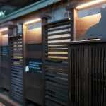 在黃光暈染下，貓也慵懶地窩著身子，大樹時而抖落紅葉，正等待著，有人攜書悄然來到……