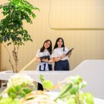 與新業(yè)家族們?cè)谖绾髸r(shí)刻團(tuán)聚，一同度過(guò)『良辰吉食』的優(yōu)格饗宴。