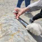 以鋁箔膠帶為記，牽起與新業(yè)的緣分，等待時機，即將坐落臺中『大塊森濤』社區(qū)，延續(xù)自然與人文的美好記憶。