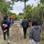 比任何人都在意您的生活，新業(yè)團(tuán)隊(duì)不怕奔波！只為把更好的樹(shù)種移植到您的居住空間。
