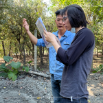 林宜鋒建築師(右一) 與景觀設計團隊從不同方向繞樹觀察評估，擇樹考量的方方面面，任何角度都要達到美的平衡。