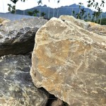 今年盛夏之際，新業(yè)團隊前往南投國姓鄉(xiāng)，為2025年即將落成的『大塊森濤』，挑選庭園造景的原石。