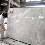 石材表面帶有自然的紋理與色澤，彷彿大地沉積歲月的筆觸，內(nèi)斂卻蘊含力量，新業(yè)職人以獨到眼光揀選，成為空間裡最具靈魂的表達。