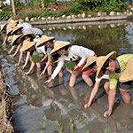 大熱天不忘抬頭對著攝影師say Cheese！
