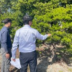 羅漢松為東亞地區(qū)常見(jiàn)的常綠樹(shù)木，樹(shù)枝柔韌且抗風(fēng)性強(qiáng)，更有象徵幸福安康、健康富貴之意，可謂是造景設(shè)計(jì)的首選。