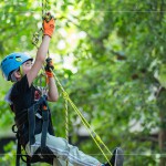 注視著樹頂?shù)墓庥?，設(shè)定小小的目標(biāo)，努力在有限的時(shí)間內(nèi)達(dá)到樹冠層。