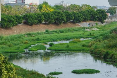 新業(yè)愛地球｜淨(jìng)一條溪，流傳一份美好心意