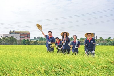 新業(yè)一畝田｜走過11年，心像一畝田