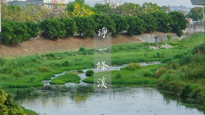 與自然共好｜一步一腳印，守護(hù)淨(jìng)土友善